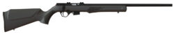 Rossi RB22W2111 RB22  Full Size 22 WMR 5+1, 21" Blued Button Rifled Free Floating Steel Barrel, Blued Stainless Steel Receiver, Black Monte Carlo Stock, Right Hand